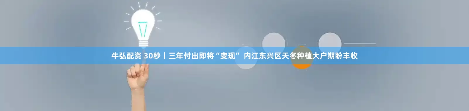 牛弘配资 30秒丨三年付出即将“变现” 内江东兴区天冬种植大户期盼丰收