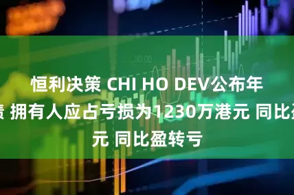 恒利决策 CHI HO DEV公布年度业绩 拥有人应占亏损为1230万港元 同比盈转亏