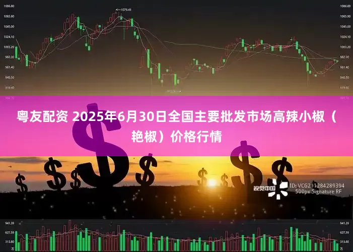 粤友配资 2025年6月30日全国主要批发市场高辣小椒（艳椒）价格行情