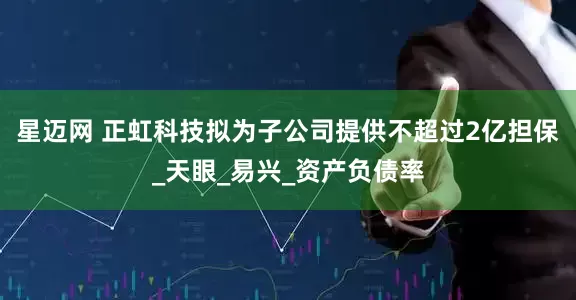星迈网 正虹科技拟为子公司提供不超过2亿担保_天眼_易兴_资产负债率