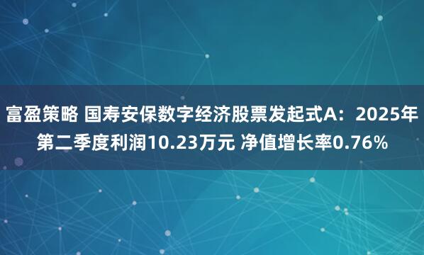 富盈策略 国寿安保数字经济股票发起式A：2025年第二季度利润10.23万元 净值增长率0.76%