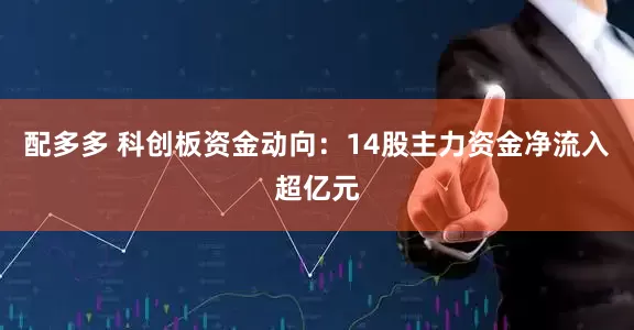 配多多 科创板资金动向:14股主力资金净流入超亿元