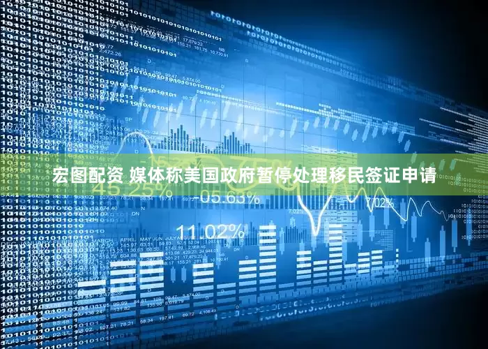 宏图配资 媒体称美国政府暂停处理移民签证申请
